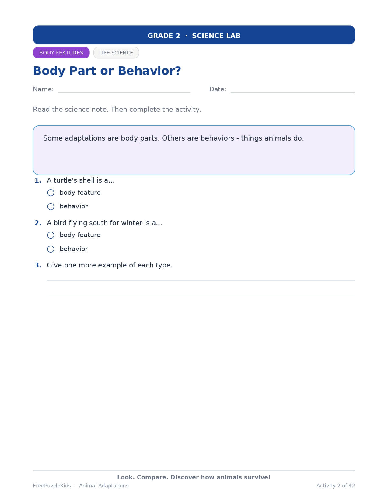 Animal Adaptations – Grade 2 – worksheet preview page 3