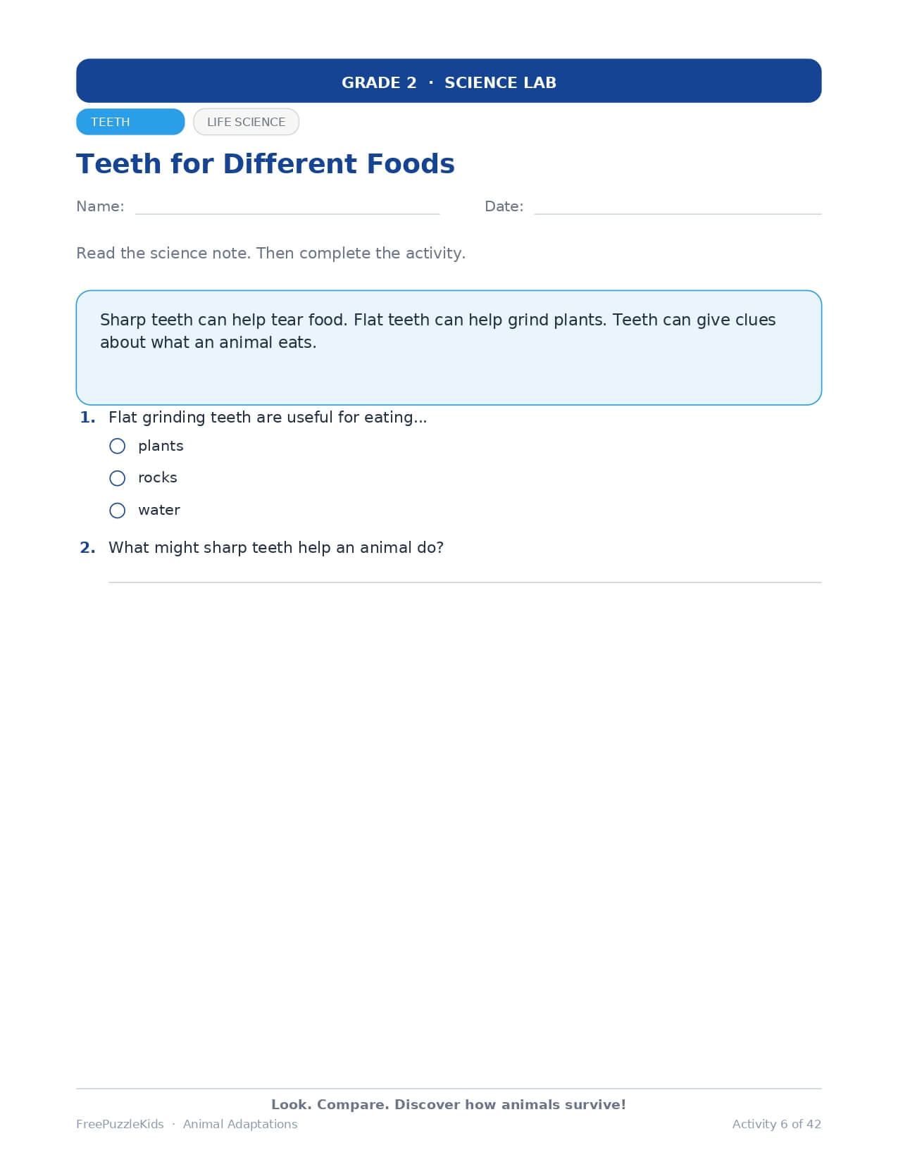 Animal Adaptations – Grade 2 – worksheet preview page 6